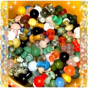 10 Random Mushrooms Colorful Crystal Carvings Scoops